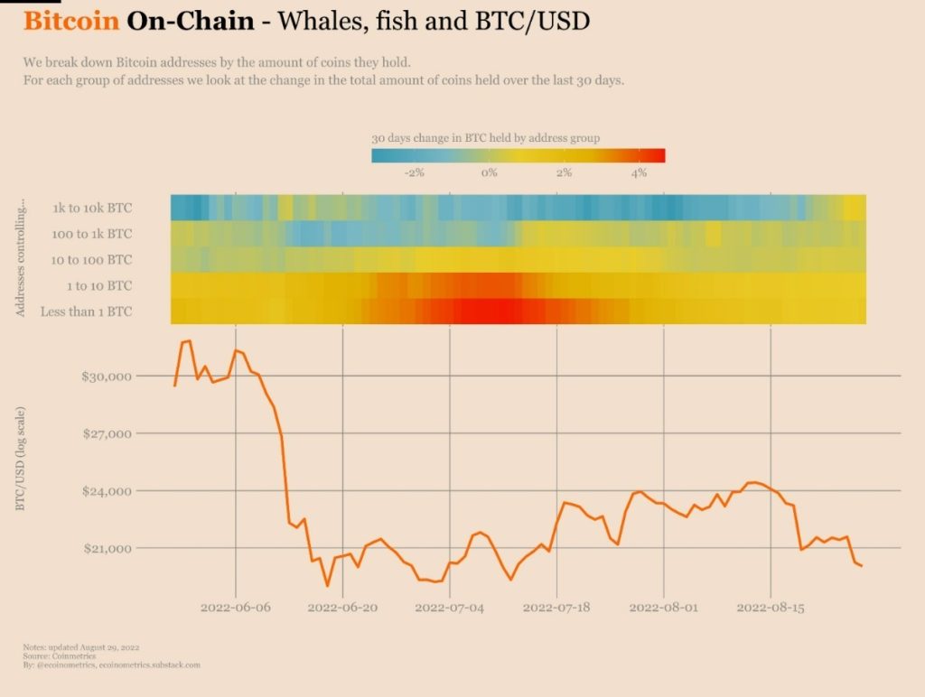 Have Bitcoin whales started buying again?